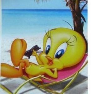 Meet your Posher, Teresa