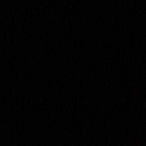 Meet your Posher, Jamila