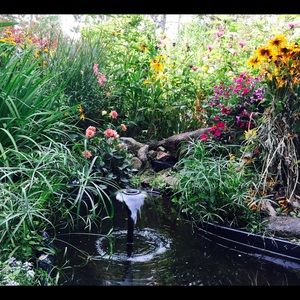 Meet your Posher, Delaney