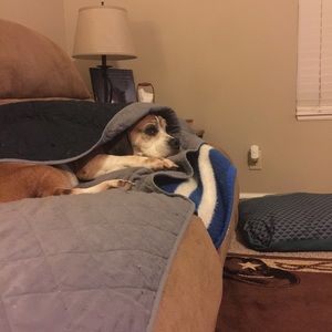 Meet your Posher, Craig