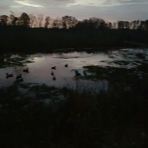 Meet your Posher, Jimmy