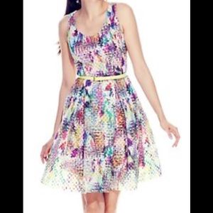 NWOT NY&C Multicolor A-line Dress