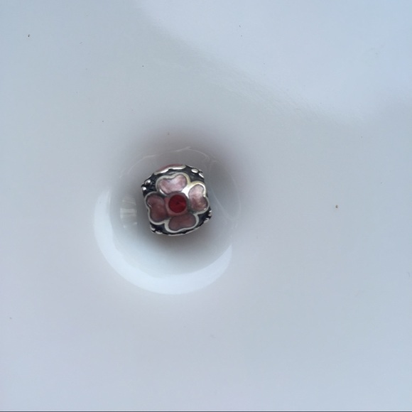 Pandora Enamel Bead Retired