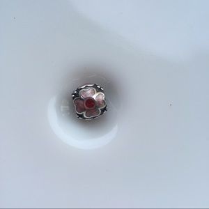 Pandora Enamel Bead Retired