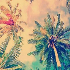 Meet your Posher, Kendal