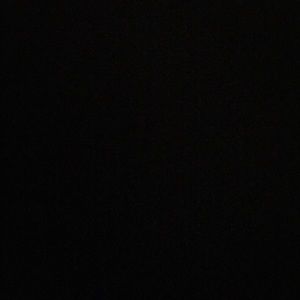 Meet your Posher, Dee