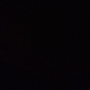 Meet your Posher, Talia