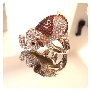 Elephant ring