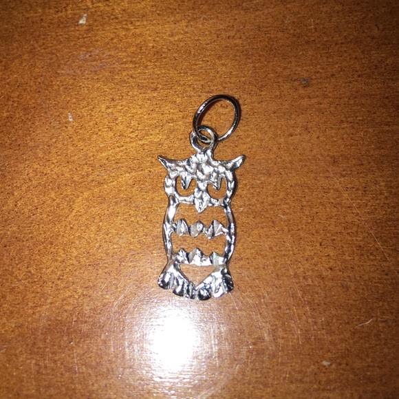 Sterling Silver Hammered Owl charm