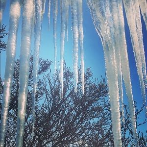 Meet your Posher, Aleksandra