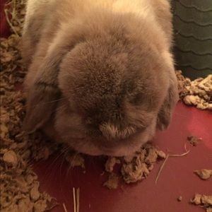 Meet your Posher, Kristy