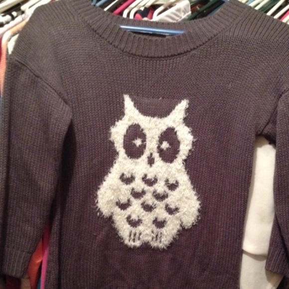 Gray owl sweater