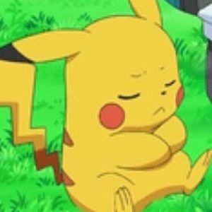 Meet your Posher, Brie