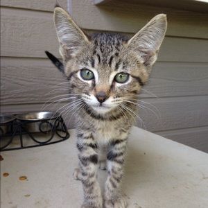 Meet your Posher, Hannah