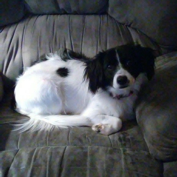 Welcome to my closet!! - Picture 6 of 8