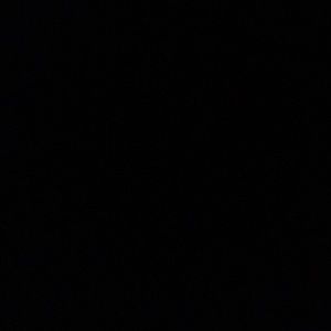 Meet your Posher, Carli