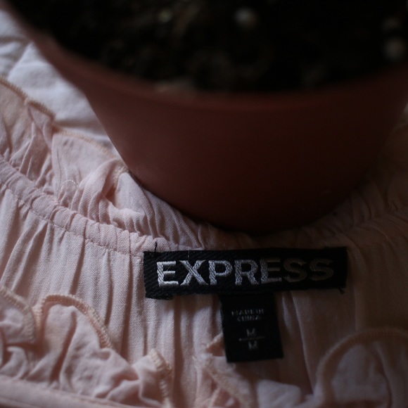 Pale Pink Express Ruffle Blouse - Picture 4 of 4