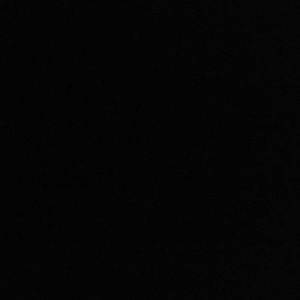 Meet your Posher, Azalea