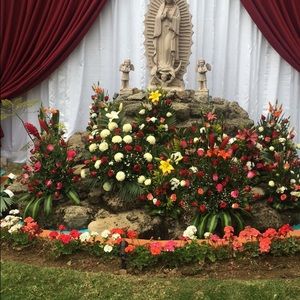 Meet your Posher, Arlene