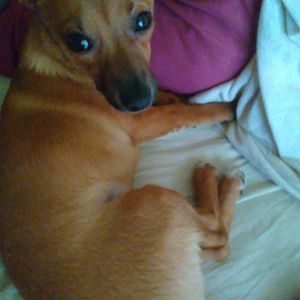 Meet your Posher, Kristie