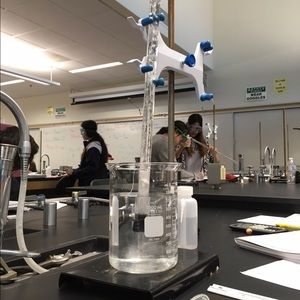 Meet your Posher, Rodrigo