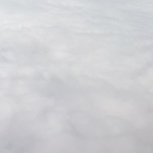 Meet your Posher, Liz