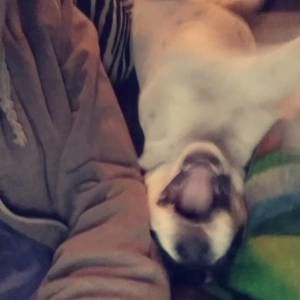 Meet your Posher, Kelcee