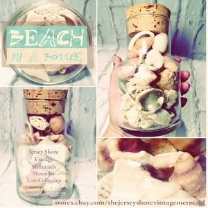 Vintage seashells & beach fossils in an old bottle