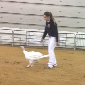 Meet your Posher, Lane