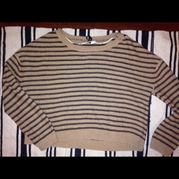 Brown and Black Striped Knit Sweater