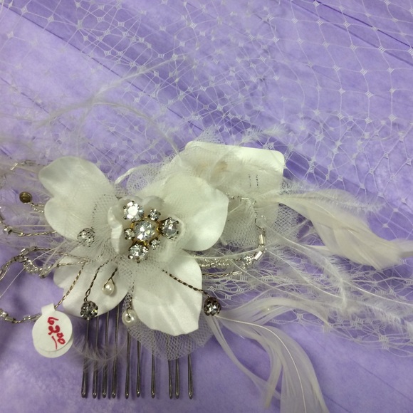 Birdcage veil/ hair piece