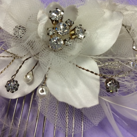 Birdcage veil/ hair piece