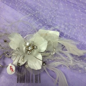 Birdcage veil/ hair piece