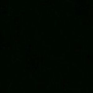 Meet your Posher, Mia