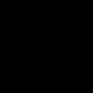 Meet your Posher, Autumn