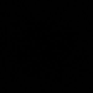 Meet your Posher, Judy