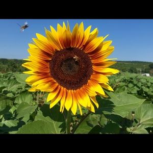 Meet your Posher, Nataliaubaldo