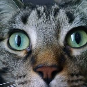 Meet your Posher, Jody