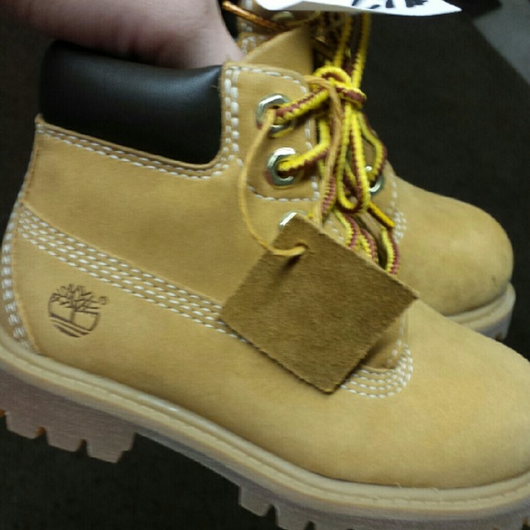 Toddler boys Timberland's