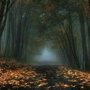 Meet your Posher, Misty