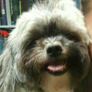 Meet your Posher, Hazel