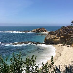 Meet your Posher, Marjorie