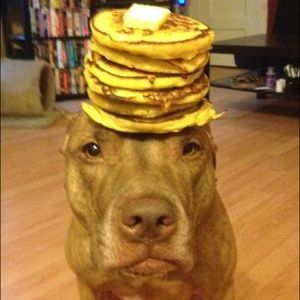 Meet your Posher, Kirstin