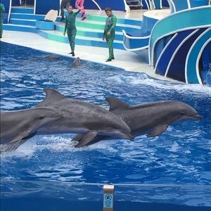 Meet your Posher, Kasey