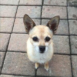 Meet your Posher, Kristi