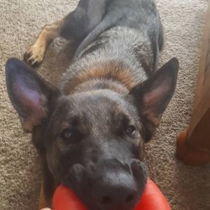 Meet your Posher, Lori