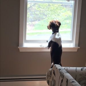 Meet your Posher, Alexandra