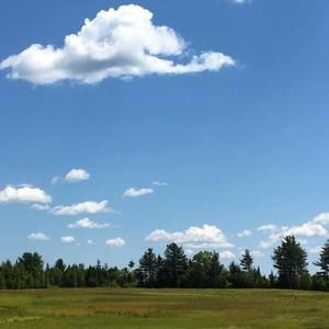 Meet your Posher, Lynn