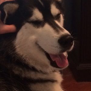 Meet your Posher, Stacy