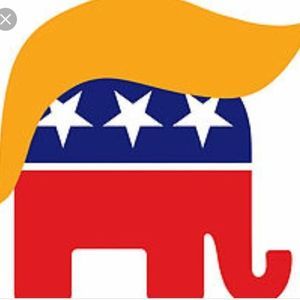 Meet your Posher, Anne